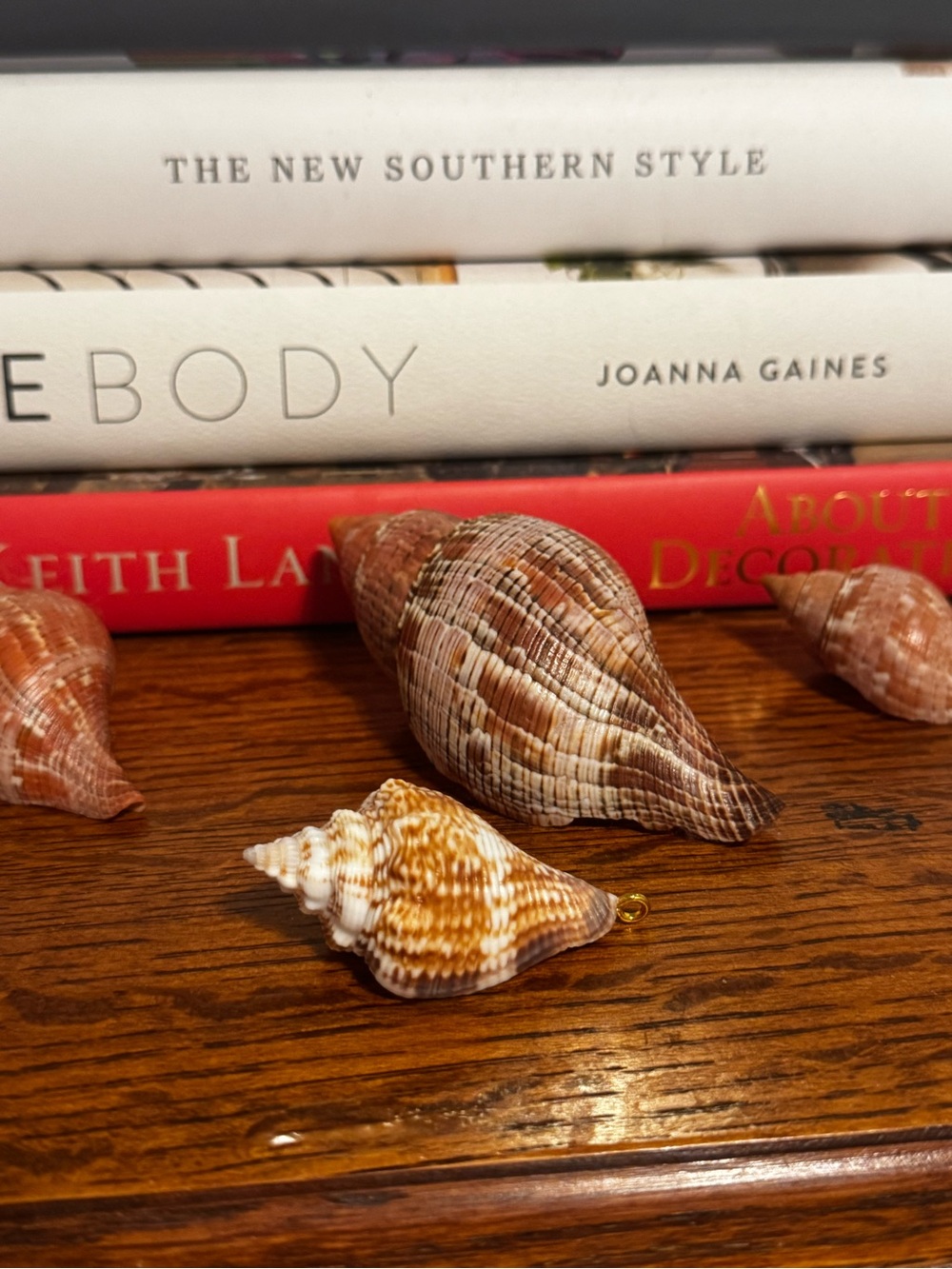 Hand-Collected Spiral Seashell Pendant- Brown & Cream